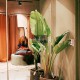 LED RAILSPOTS